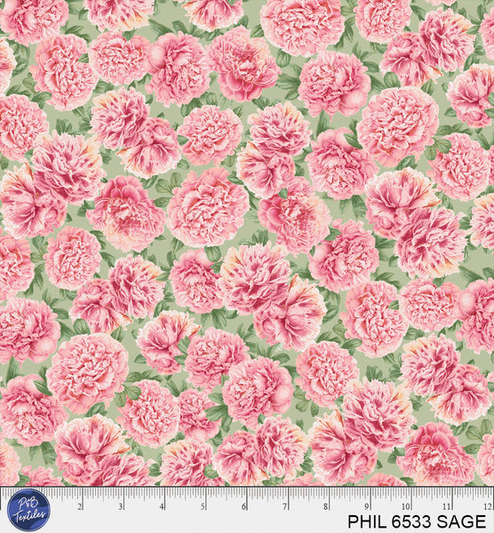 PHIL 6533 SAGE