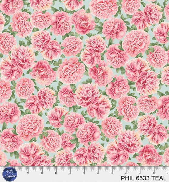 PHIL 6533 TEAL