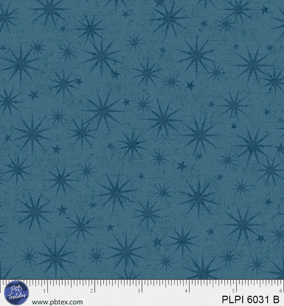 PLPI 6031 B