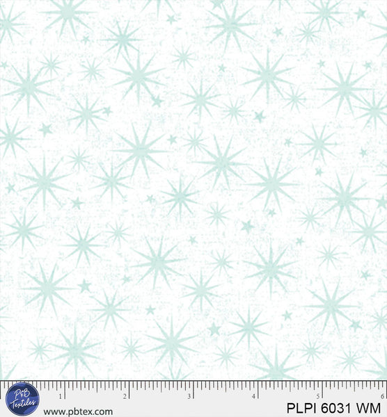 PLPI 6031 WM