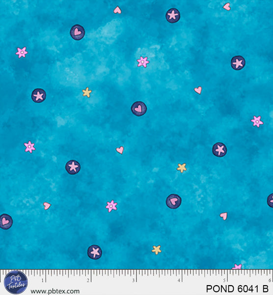 POND 6041 B