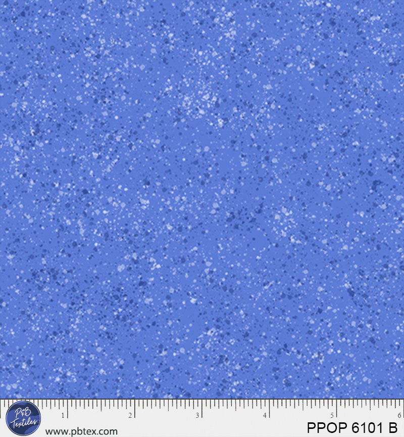 PPOP 6101 B