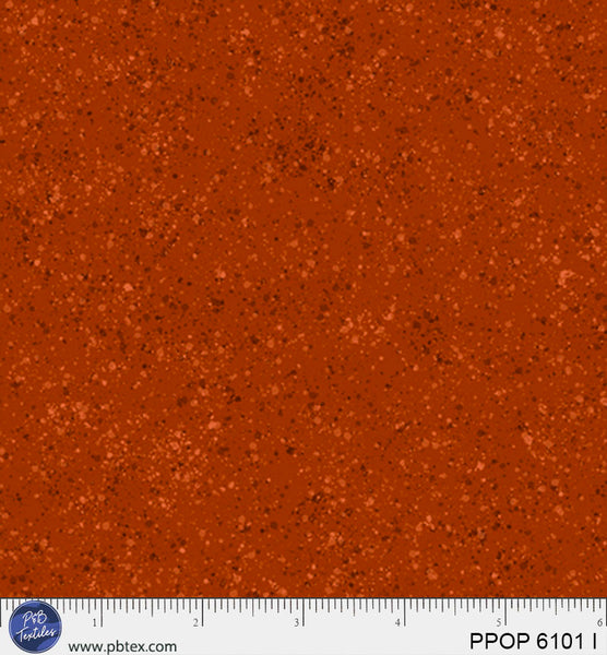 PPOP 6101 I