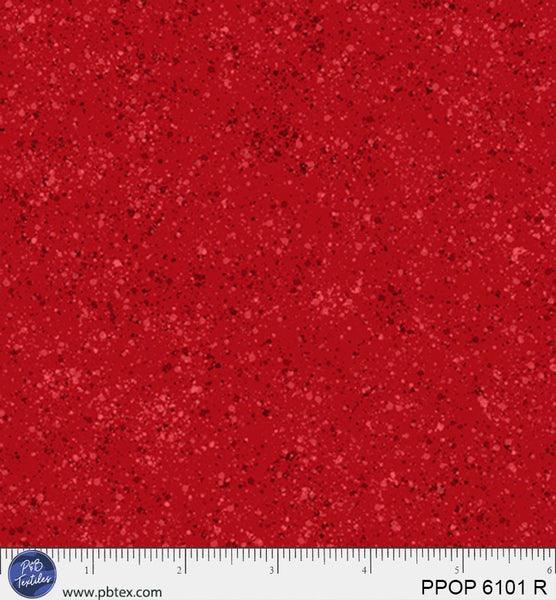 PPOP 6101 R