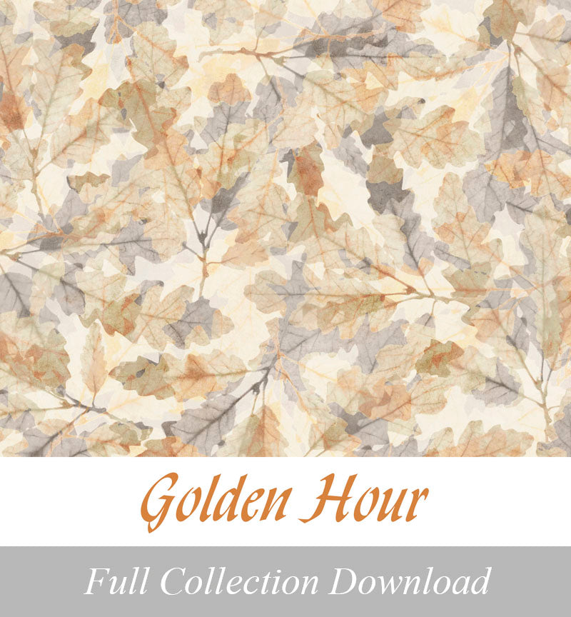 Golden Hour<br>Zip Folder