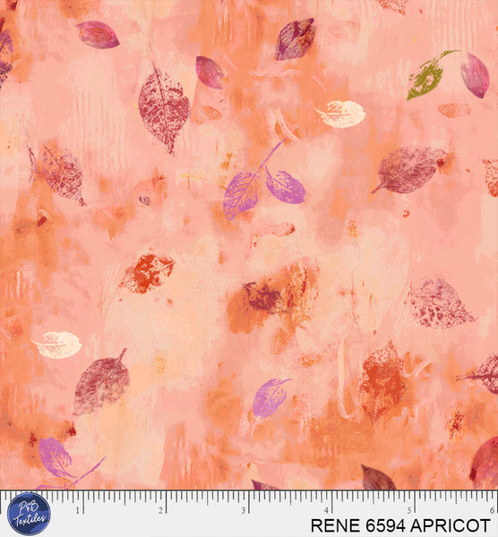 RENE 6594 APRICOT