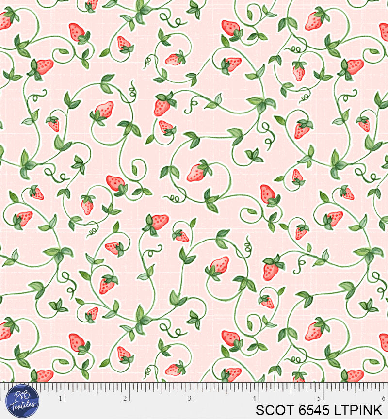 SCOT 6545 LTPINK