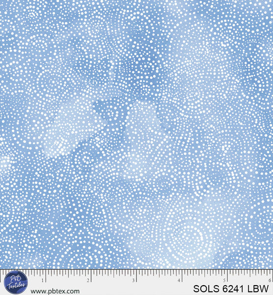 SOLS 6241 LBW