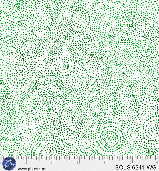 SOLS 6241 WG