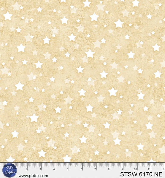 STSW 6170 NE