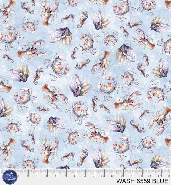 WASH 6559 BLUE