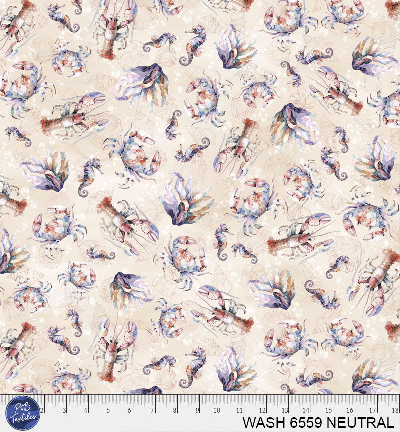 WASH 6559 NEUTRAL