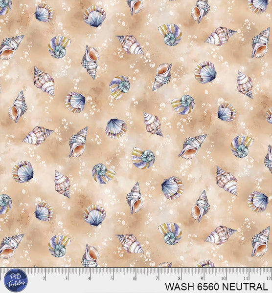 WASH 6560 NEUTRAL