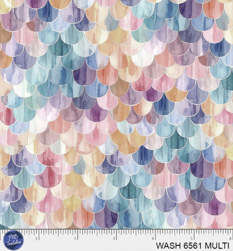 WASH 6561 MULTI