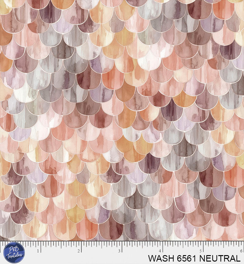 WASH 6561 NEUTRAL