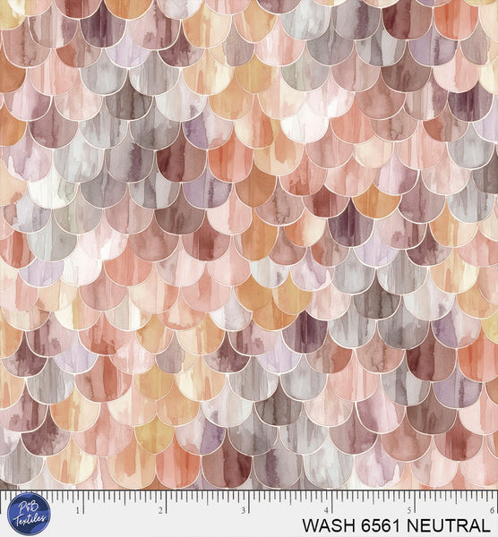 WASH 6561 NEUTRAL