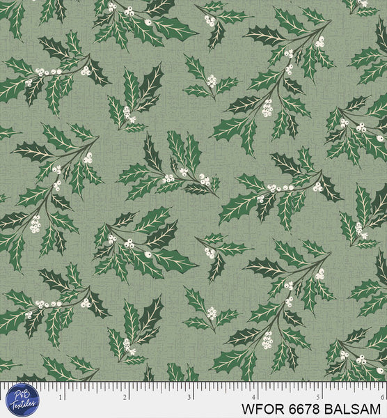 WFOR 6678 BALSAM