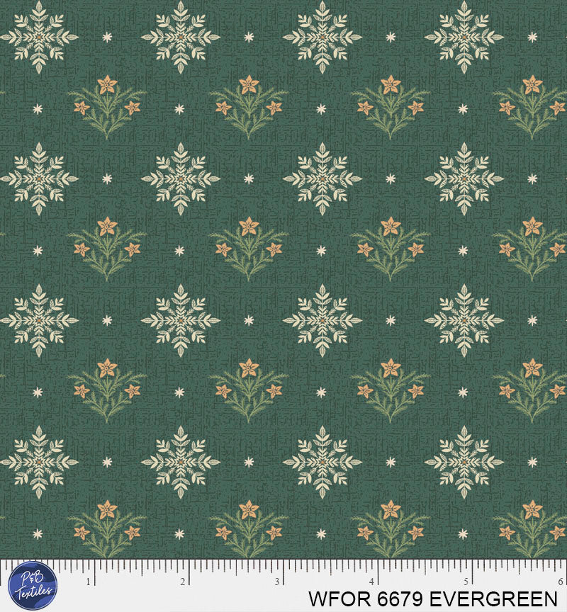 WFOR 6679 EVERGREEN