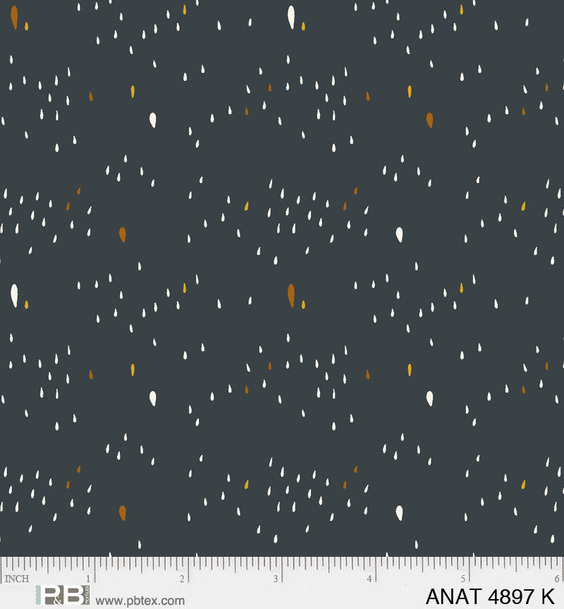 ANAT 4897 K
