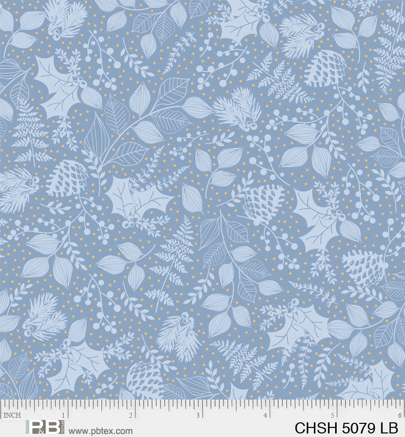 CHSH 5079 LB
